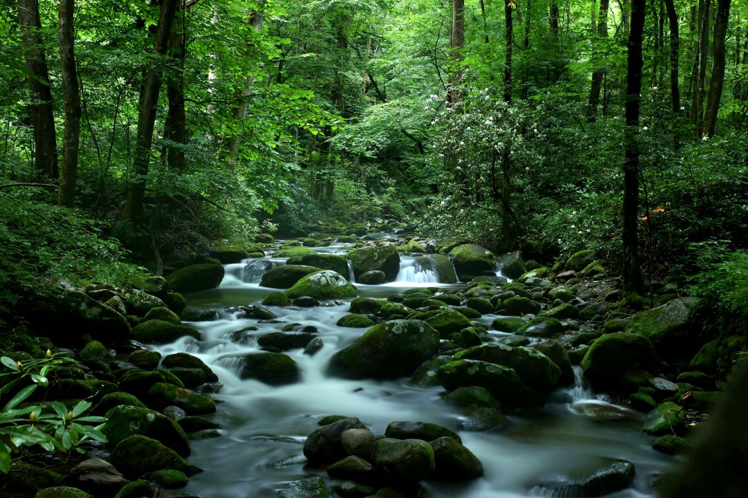 hiking in smoky mountains